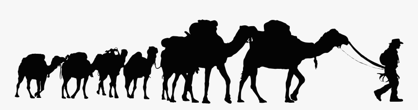 Clipart Transparent Background Camels, HD Png Download