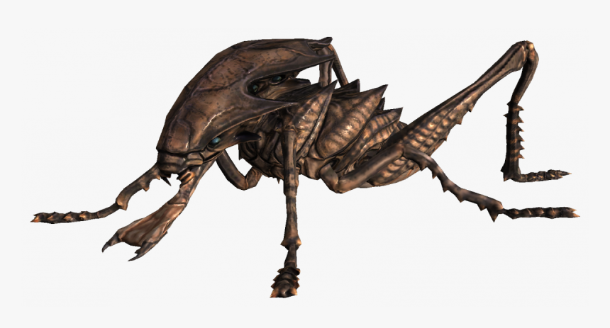 Transparent Hopper Png - Skyrim Ash Hopper, Png Download