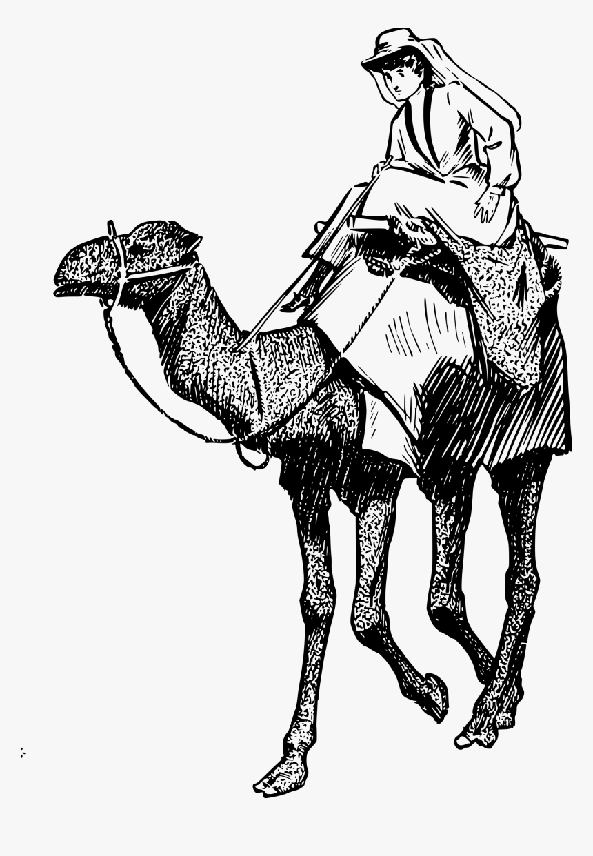 Woman On A Camel Clip Arts - Woman And Camel Png, Transparent Png