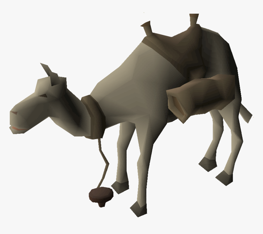 Camel, HD Png Download