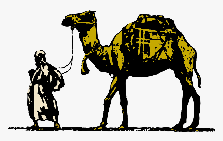 Livestock,pack Animal,camel - وافق شن طبقة شرح, HD Png Download
