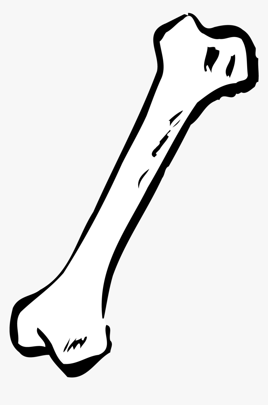 Human Bone Clipart Black And White, HD Png Download