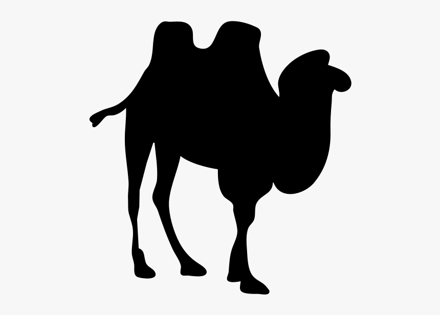 Contour Camel Svg Clip Arts - Camel Silhouette No Background, HD Png Download
