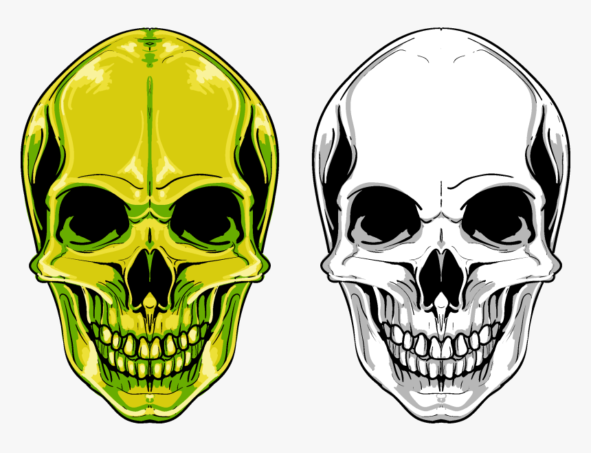 Euclidean Vector Skull Png Free Photo Clipart - Skull Png Free, Transparent Png