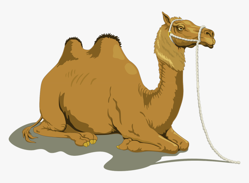 Camel Clipart, HD Png Download