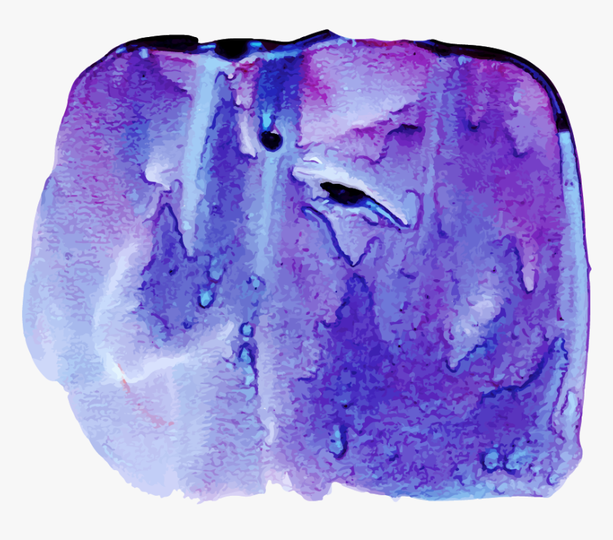 Watercolor Paint, HD Png Download