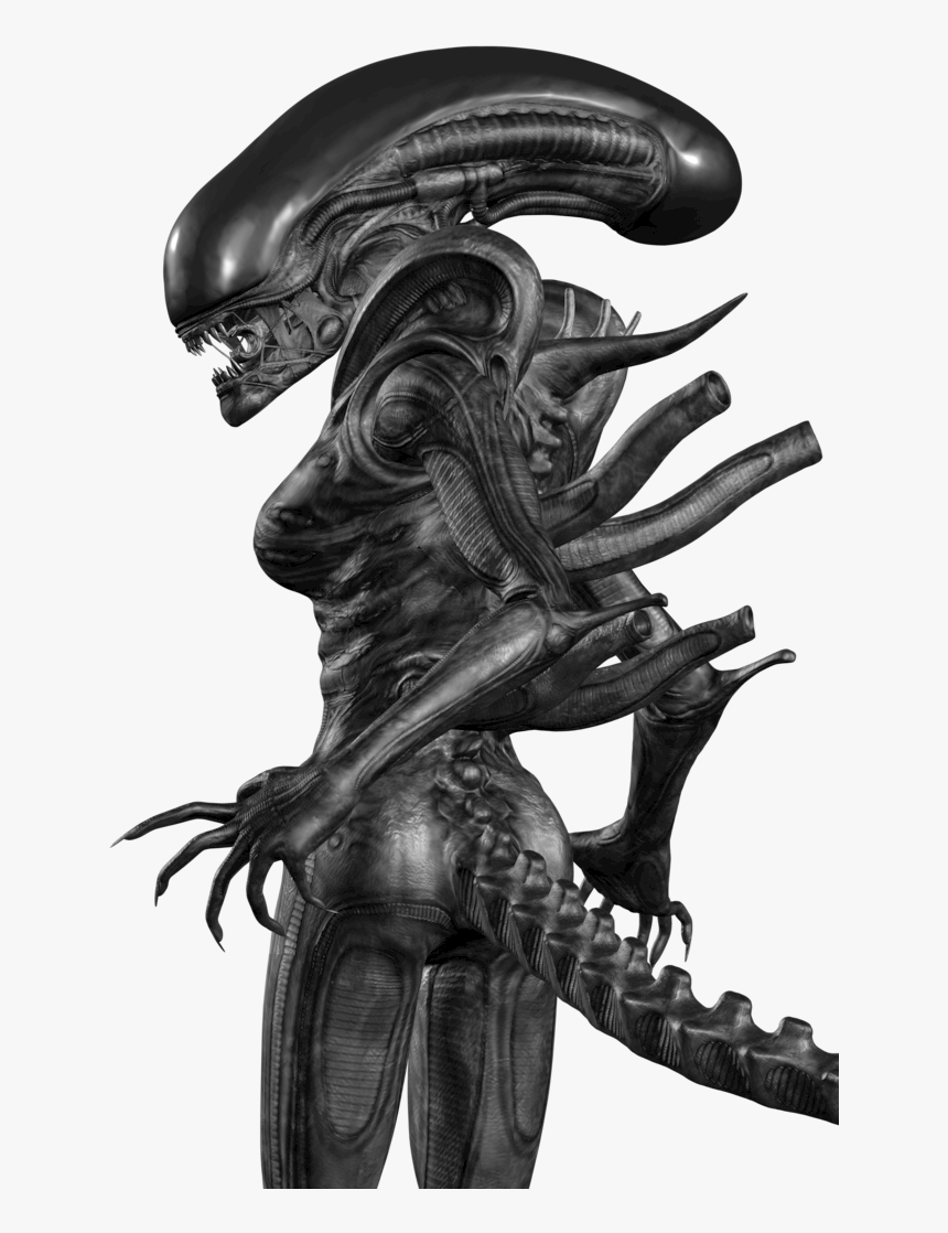 Statue, HD Png Download