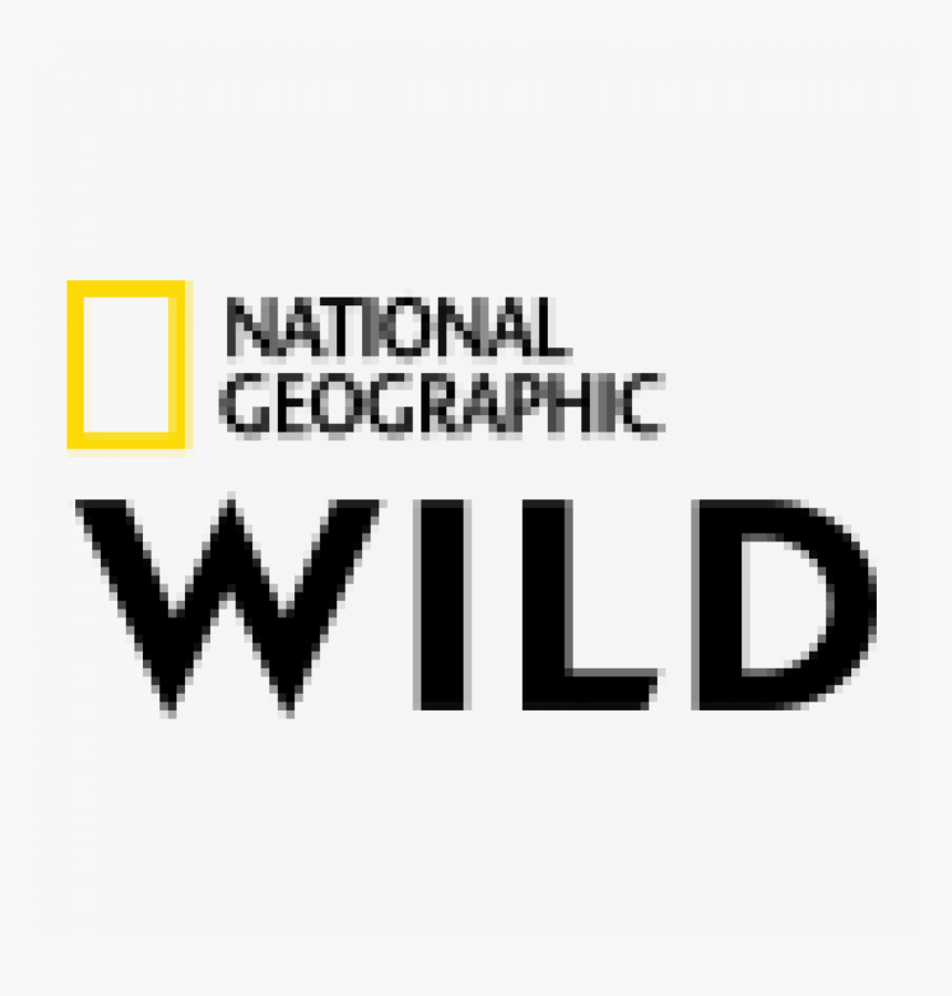 Nat Geo Wild - National Geographic, HD Png Download