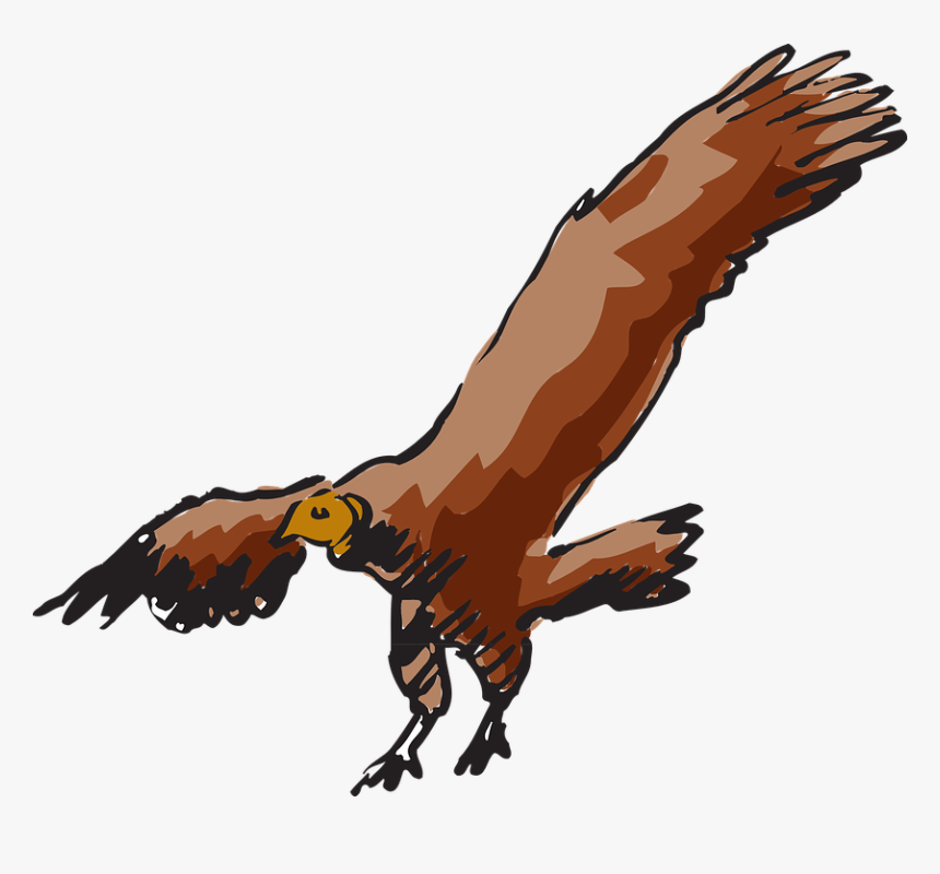 Vulture, Scavanger, Buzzard, Bird, Carnivore, Carrion - Buzzard Flying Clipart, HD Png Download