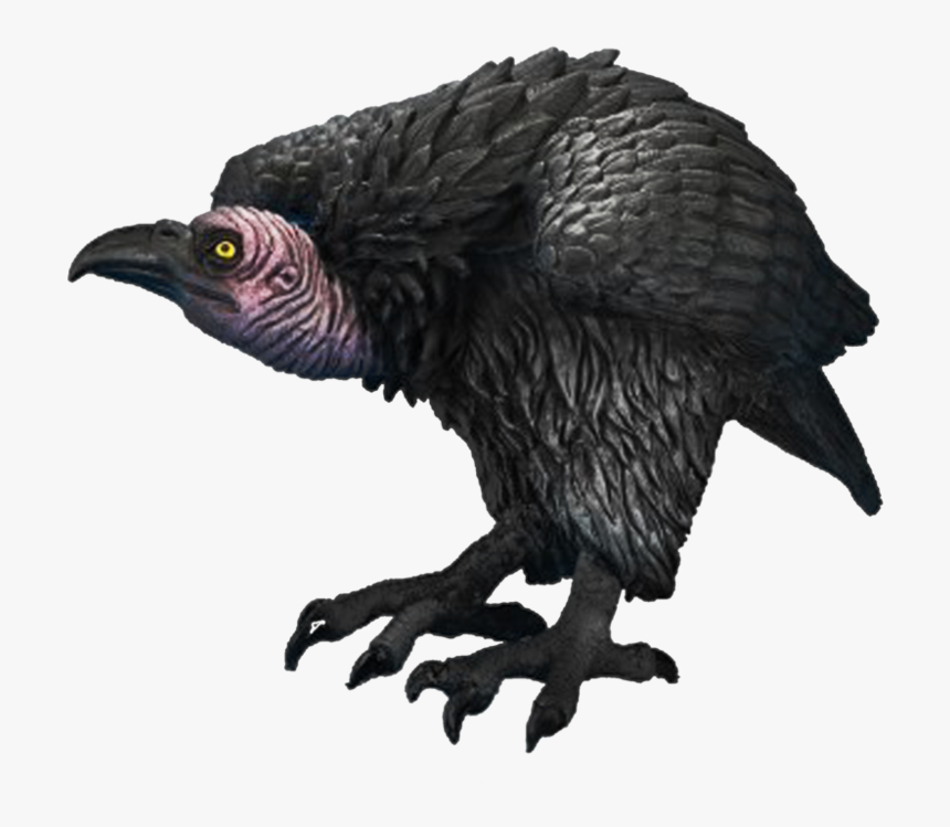 Png Of Vultures - Vulture Png, Transparent Png
