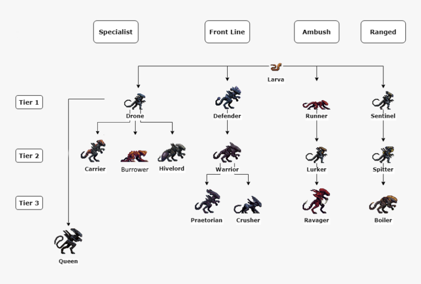 Evolution - Space Station 13 Larva, HD Png Download