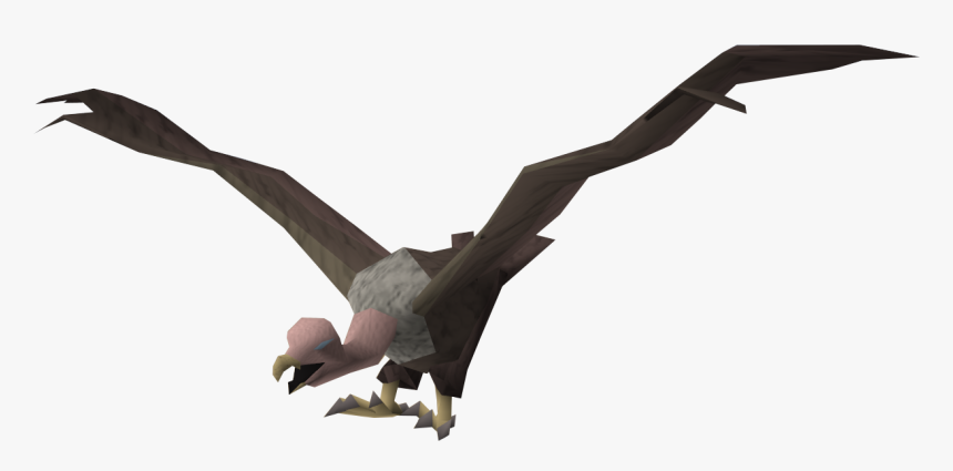 Vulture , Png Download - Transparent Vulture, Png Download