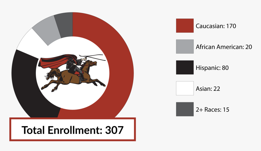 Total Enrollment 307 Caucasian 170 African American - Graphic Design, HD Png Download