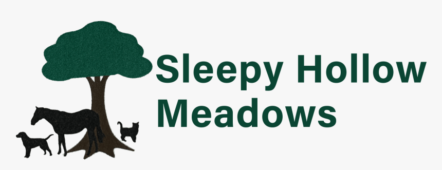 Sleepy Hollow Meadows - Black Cat, HD Png Download