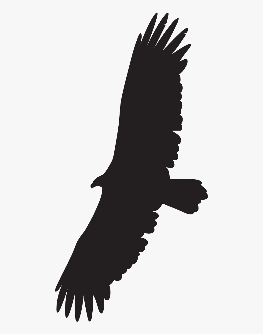 Hawks And Falcons - Eagle Soaring Cartoon, HD Png Download