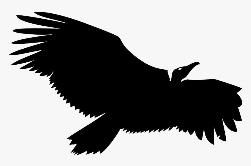 Transparent Vulture Clip Art, HD Png Download