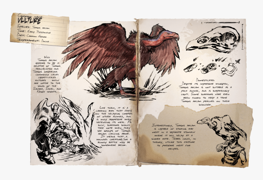 Ark Dossiers Morellatops, HD Png Download