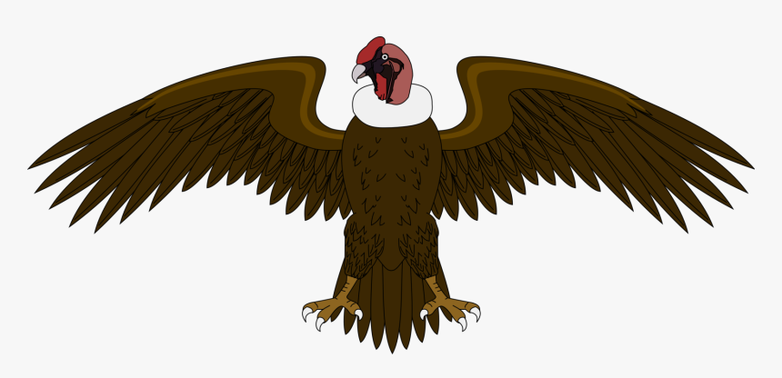 Eagle,bald Eagle,vulture - El Condor Del Escudo De Colombia, HD Png Download