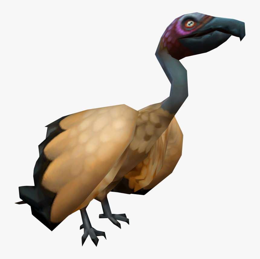Water Bird, HD Png Download