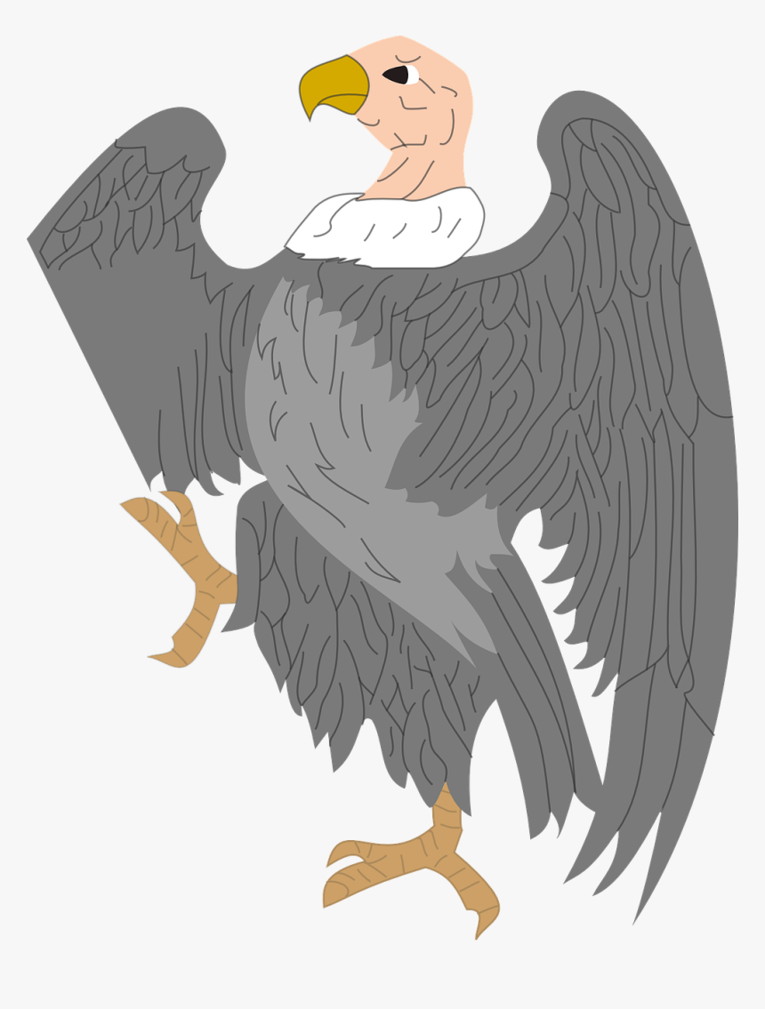 Cliparts Vulture, HD Png Download