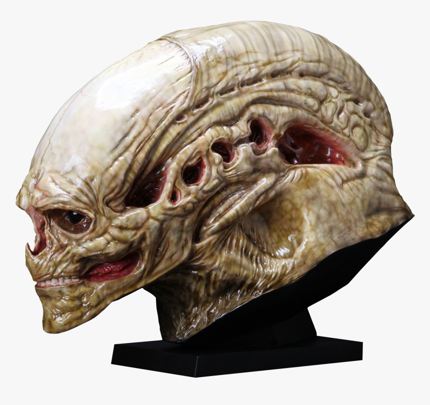 Transparent Alien Eyes Png - Alien Newborn, Png Download