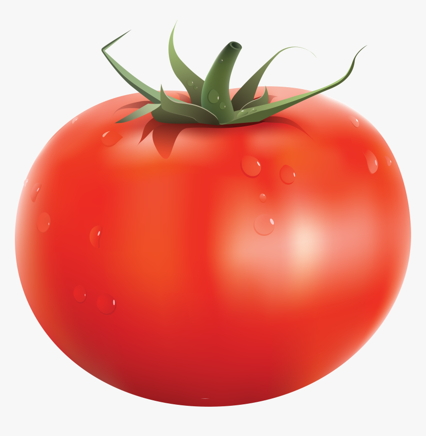 Tomato Png Individual Fruits And Vegetables, Transparent Png