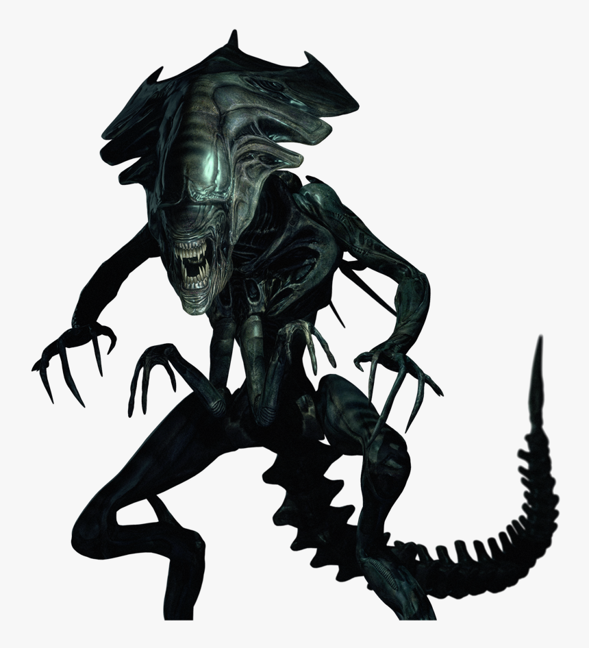 Dragon, HD Png Download