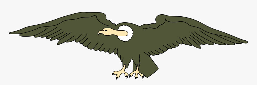 Turkey Vulture Bird California Condor Free Commercial - Clipart Images Of Vulture, HD Png Download