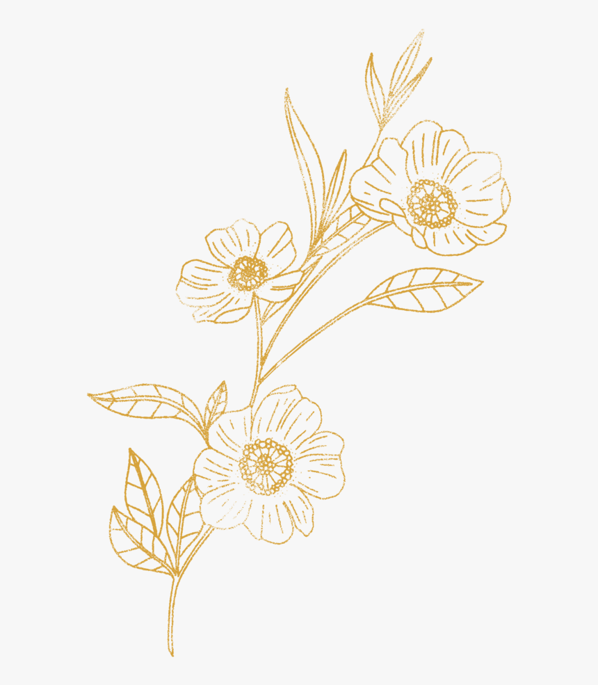 Savannah Le-illustrations Artboard 2 Copy 5 - Illustration, HD Png Download