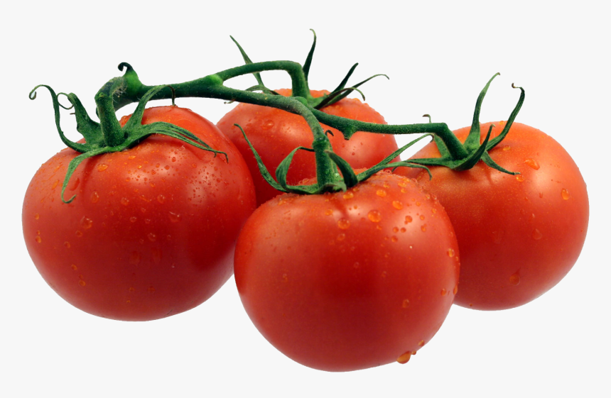 Tomatoes Png Single Fruits And Vegetables, Transparent Png