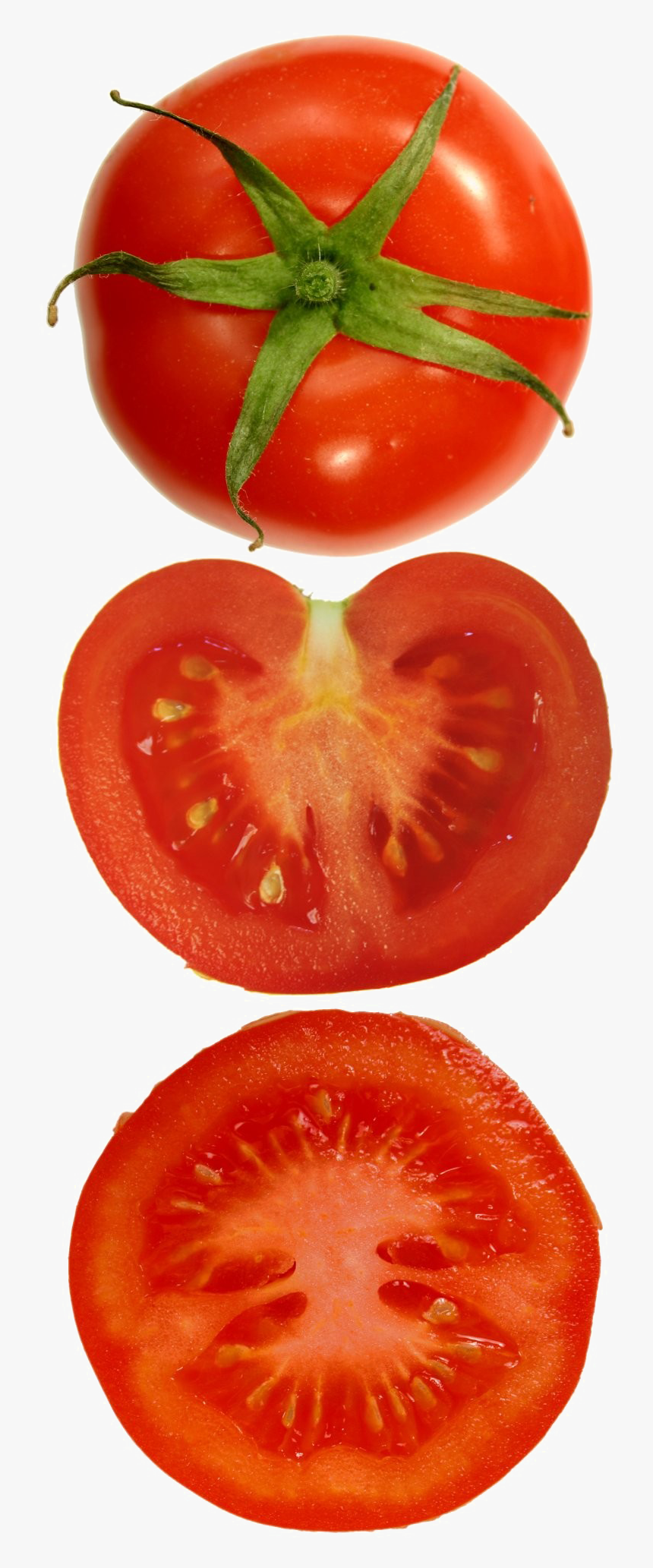 Sliced Tomato Png Pic - Axile Placentation In Tomato, Transparent Png