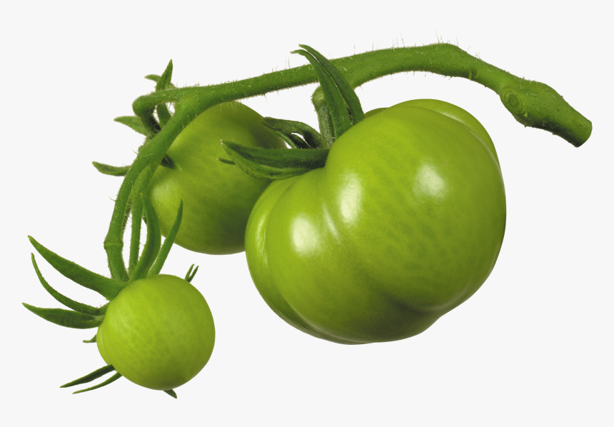 Green Tomato Png - Green Tomato Transparent Background, Png Download