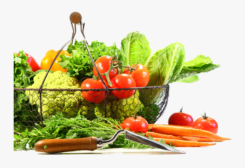 Vegetable Png Image - Fruit And Veg Transparent Background, Png Download