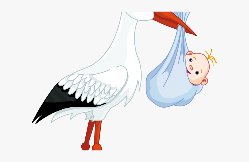 Stork Clipart Baby Transparent Background - Vino La Cigueña, HD Png Download