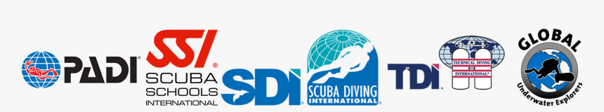 Graphic Design, HD Png Download