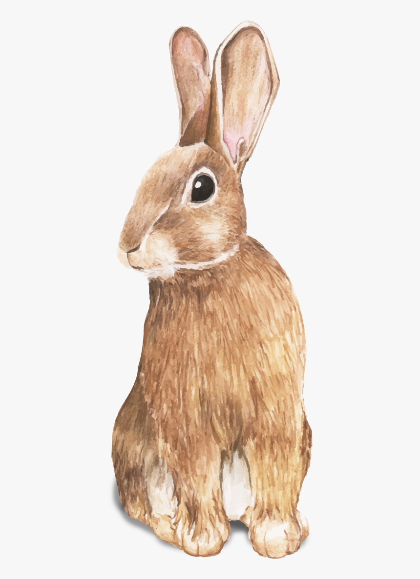 Coelhinho Da Páscoa - Rabbit Hand Drawing, HD Png Download