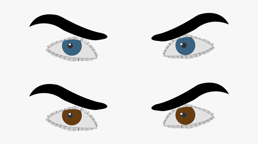 Ojo, Ojos Azules, El Café De Los Ojos, Humana, Ojos, HD Png Download