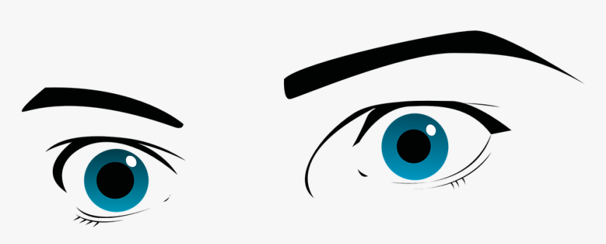 Ojos, Ojos Azules, Las Cejas, Cejas, Ver, Observación - Ojos Reales En Png, Transparent Png