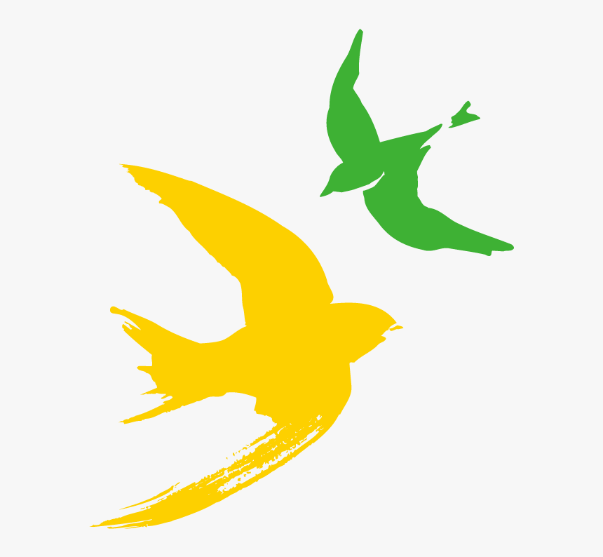 Bird Flight Clip Art - Creyf's, HD Png Download