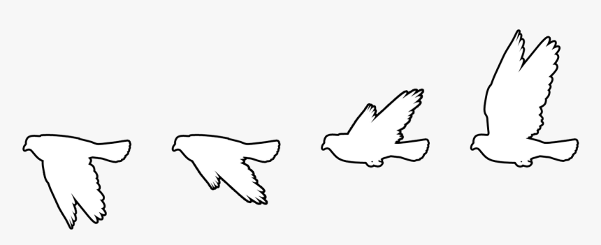 Transparent Seagulls Flying Png - White Flying Bird Silhouette, Png Download
