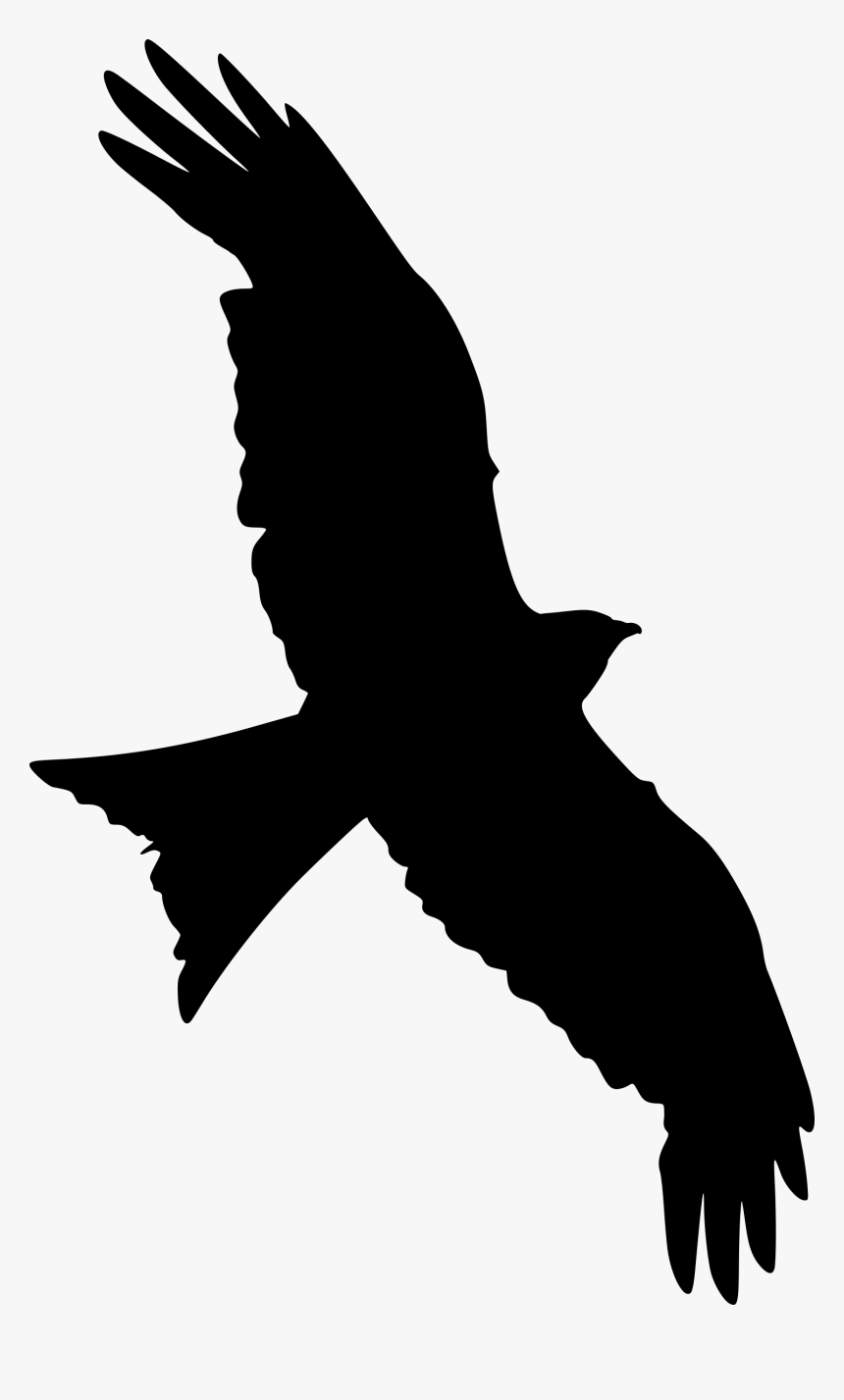 Clip Art Silhouette Portable Network Graphics Falcon - Transparent Flying Bird Silhouette, HD Png Download