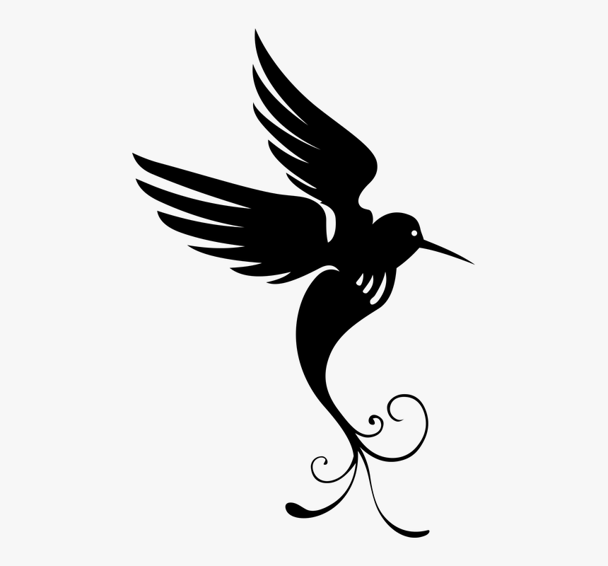 Bird Of Paradise Silhouette, HD Png Download