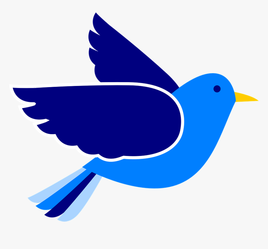 Pigeon Clipart Bird Fly - Bird Clipart Png, Transparent Png