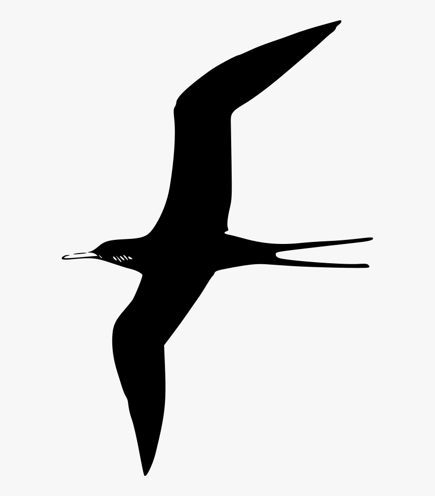 Bird Vector Png - Birds Black Clipart, Transparent Png
