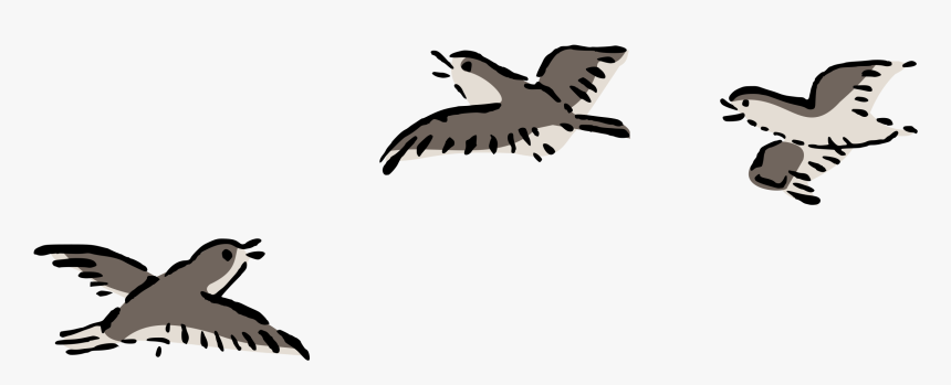 Bird Plover Flying Free Picture - Bird Fly Clip Art, HD Png Download