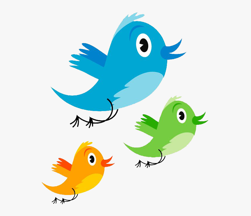 Cute Parrot Png Photos, Transparent Png