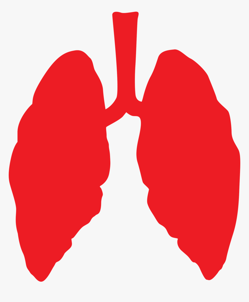 Pulmones, Pulmón, De Salud, Médica, Humana, Anatomía - Amazon Rainforest Fire Lungs Of The Earth, HD Png Download