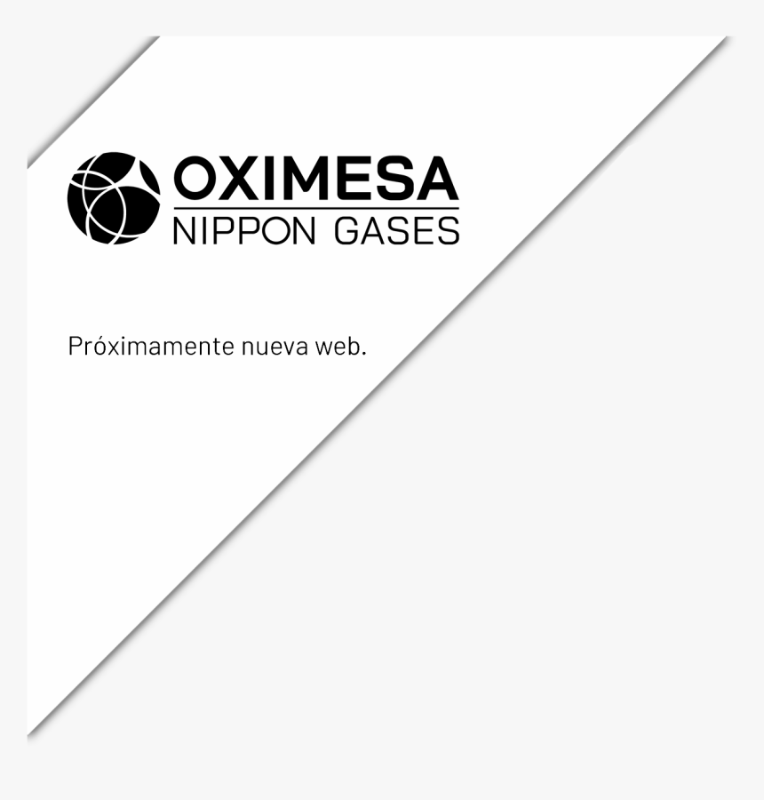 Graphic Design - Nippon Gases Logo, HD Png Download