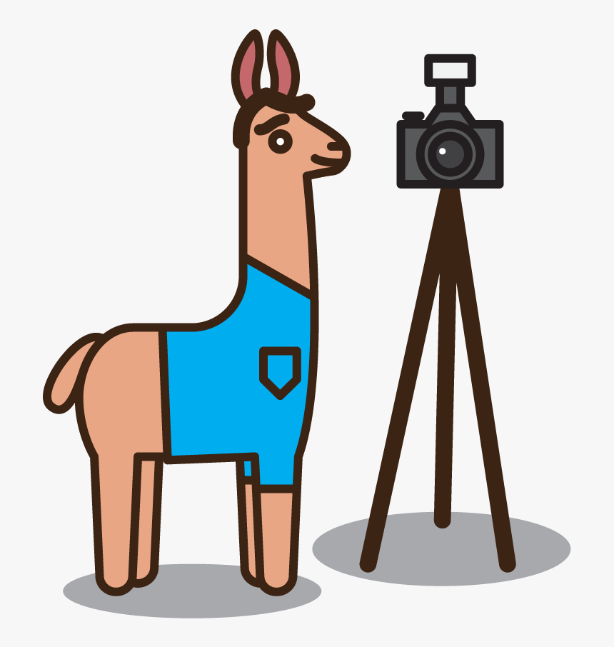 An Illustrated Cartoon Llama With A Camera On A Tripod - Cartoon, HD Png Download