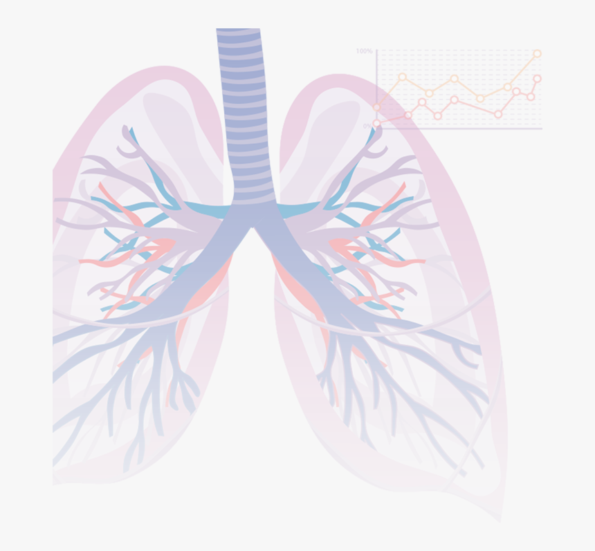 Fondo-signin - Pulmones Imagen De Fondo, HD Png Download